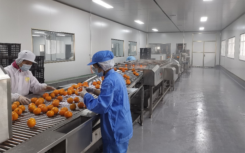 Citrus Juice Production Line in China 6000bph