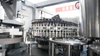 Combi Block Blowing-filling-capping All in One Machine