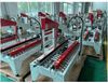 Automatic Case Packer