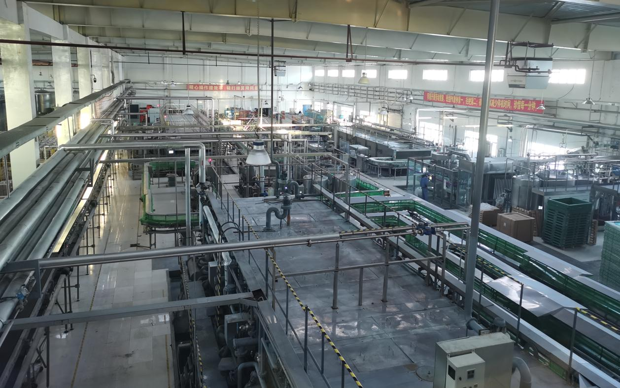 Craft Beer Filling Line